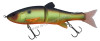 poisson-nageur-articule-illex-down-swimmer-220-sf-muddy-roach.jpg