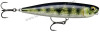 leurre-de-surface-rapala-precision-xtreme-pencil-107mm-pxrp107-pel.jpg