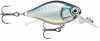 rapala-x-light-crank-mid-runner-35mm-fncm03-bap.jpg