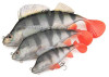 leurre-souple-fox-rage-ultra-realistic-perch-replicant-3.jpg