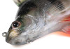 leurre-souple-fox-rage-ultra-realistic-perch-replicant-4.jpg