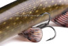 leurre-souple-fox-rage-ultra-realistic-pike-replicant-15cm-4.jpg