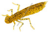 leurre-souple-fishup-dragonfly-3cm-036.jpg
