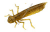 leurre-souple-fishup-dragonfly-3cm-074.jpg