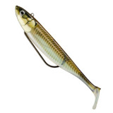 leurre-souple-arme-storm-360gt-coastal-biscay-shad-9cm-bscm09-3.jpg