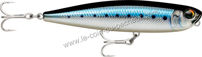 rapala-precision-xtreme-pencil-saltwater-107mm-bsrdl.jpg