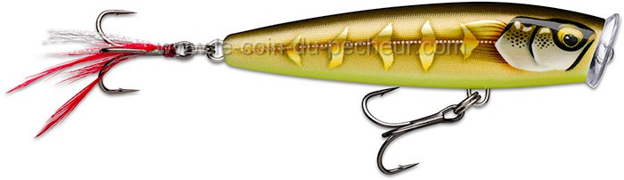 poisson-nageur-surface-rapala-skitter-pop-elite-gdsgs.jpg