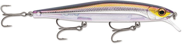 poisson-nageur-rapala-precision-xtreme-mavrik-110-blsd.jpg