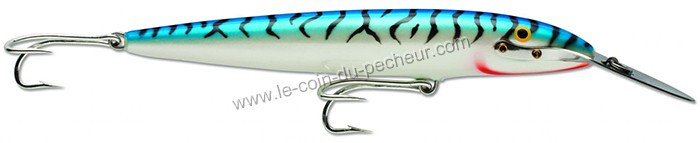 leurre-rapala-countdown-magnum-22cm-cdmag22-sm.jpg