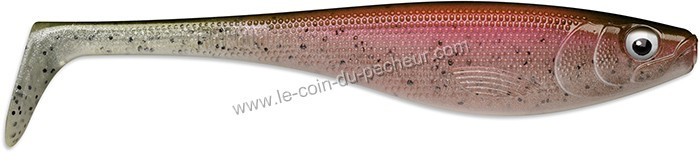 leurre-souple-rapala-soft-peto-18cm-rtl.jpg