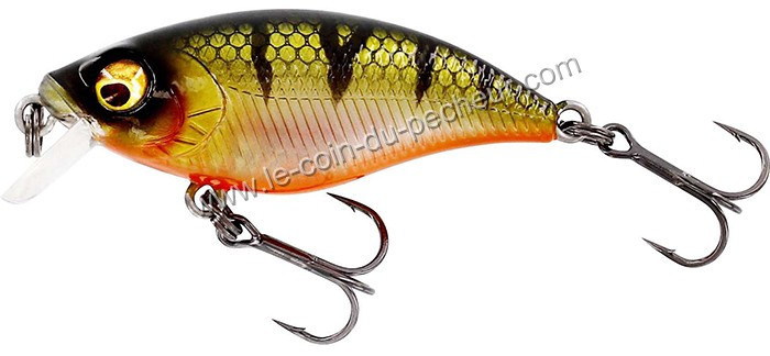 poisson-nageur-flottant-westin-buzzbite-sr-crankbait-bling-perch.jpg