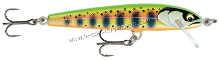 poisson-nageur-rapala-floater-elite-85cm-fe85-gdcy.jpg