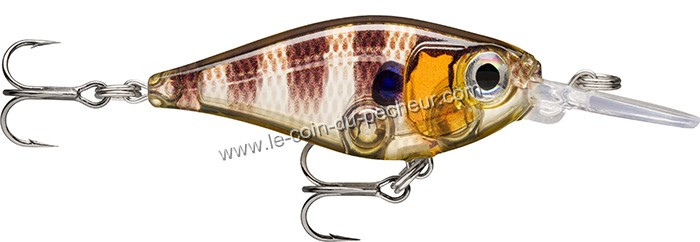 poisson-nageur-rapala-x-light-shad-4cm-fns04-ggiu.jpg