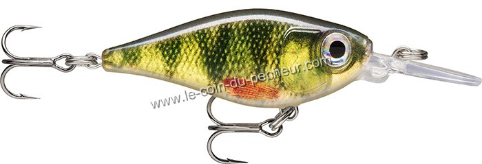poisson-nageur-rapala-x-light-shad-4cm-fns04-pel.jpg