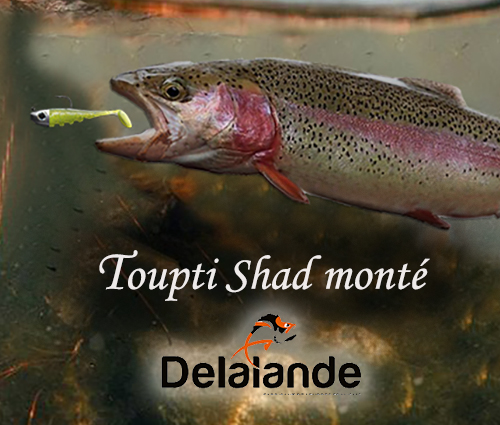 Leurre Delalande toupti shad