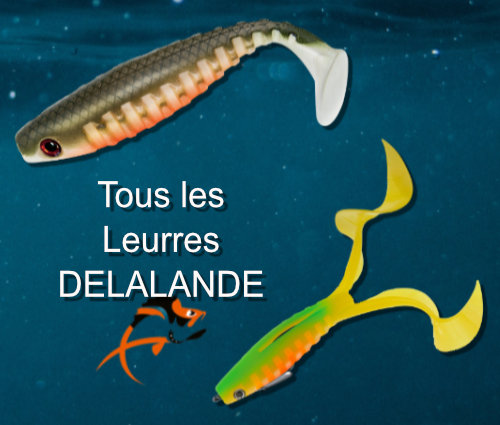 Delalande sandra neo shallow skeleton swatshad