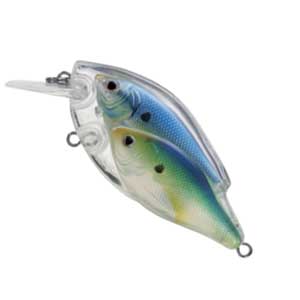 leurre-flottant-live-target-bb-threadfin-shad-squarebill-2